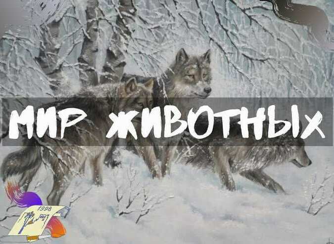 Купить картину с животными